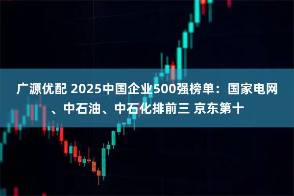 广源优配 2025中国企业500强榜单：国家电网、中石油、中石化排前三 京东第十